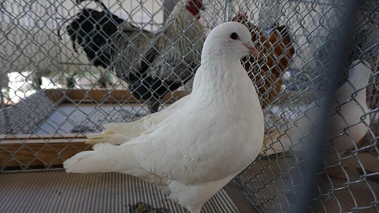 Foto: Richard Sänger