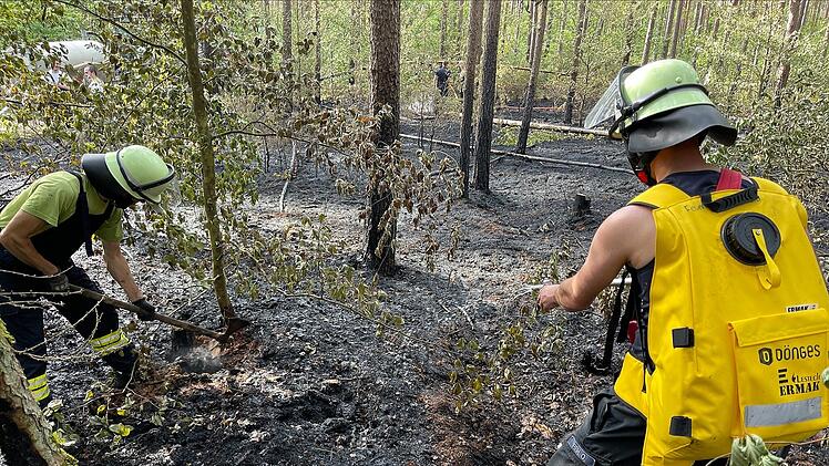 Strullendorf: Waldbrand im Landkreis Bamberg - "Wären nicht zurechtgekommen"