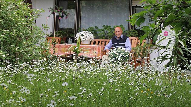 Bild: Der "Margeritenk&ouml;nig" genie&szlig;t sein Umfeld. Foto: Jupp Schr&ouml;der