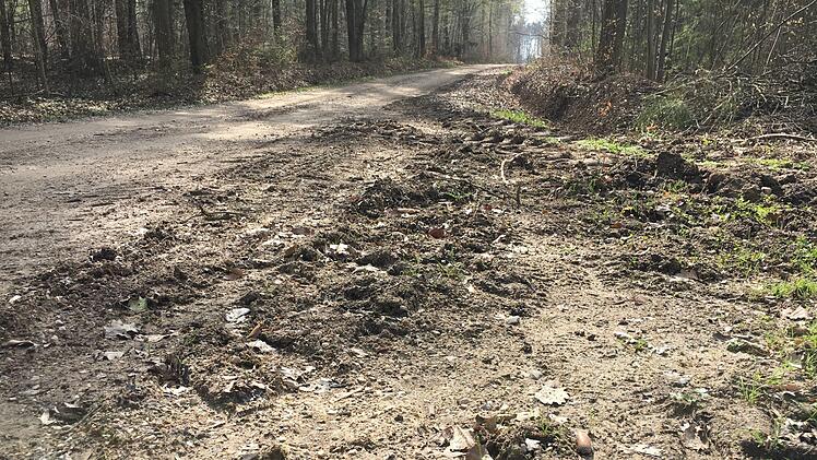 Nicht mehr für reguläre Fahrzeuge geeignet - die GVS im Wald zwischen Scheßlitz und Peulendorf. Foto: Anette Schreiber