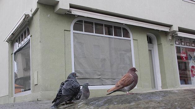 Das Gesch&auml;ftsleben in der Forchheimer Hauptstra&szlig;e wird befl&uuml;gelt: Im Geb&auml;ude Nummer 64 (ehemals Kartenhaus, gegen&uuml;ber Sport-Wolf), er&ouml;ffnet der H&ouml;rger&auml;teakustiker Kind einen Laden. Foto: Josef Hofbauer