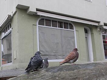 Das Geschäftsleben in der Forchheimer Hauptstraße wird beflügelt: Im Gebäude Nummer 64 (ehemals Kartenhaus, gegenüber Sport-Wolf), eröffnet der Hörgeräteakustiker Kind einen Laden. Foto: Josef Hofbauer