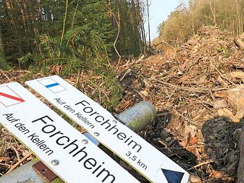 Der Kreisausschuss billigte den Lückenschluss zwischen Bammersdorf in Richtung Süden zu den überregionalen Radwegen. Foto: Josef Hofbauer