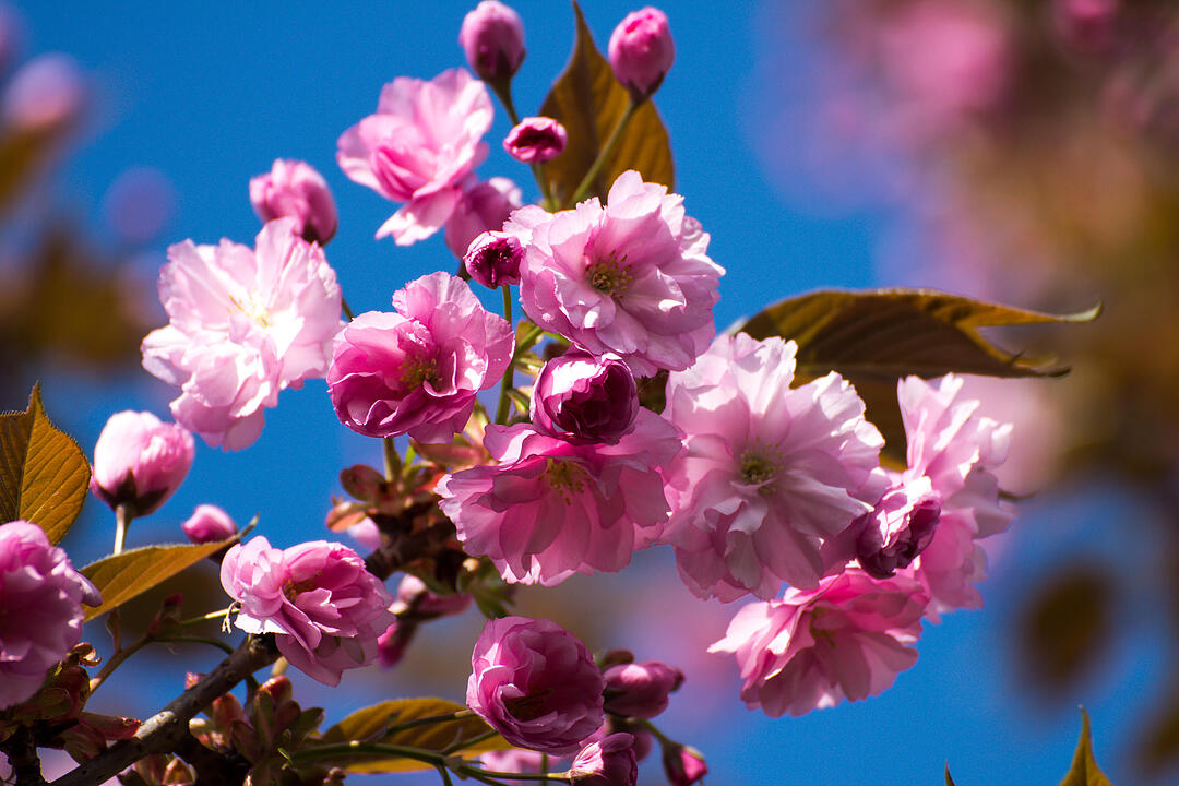 Fotos Konrad Thomann