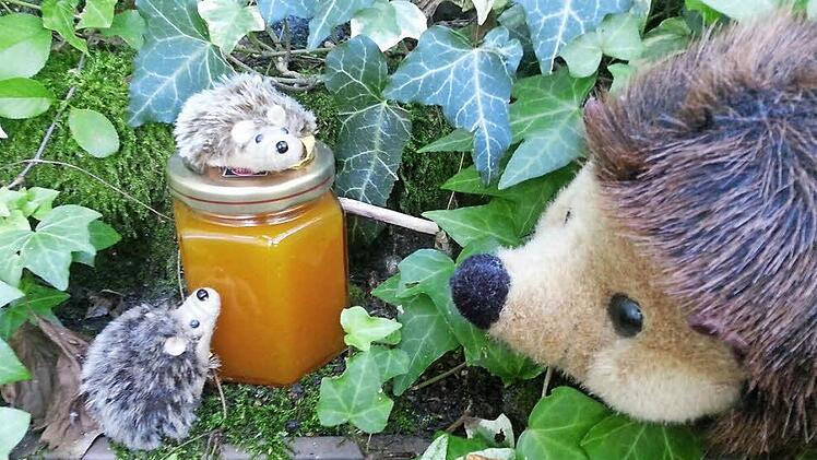 Äpfel und Kürbis passen gut zum Herbstanfang. Mit Vanille und Zimt wird daraus ein köstlicher Brotaufstrich.  Foto: Sabine Christofzik