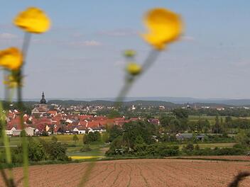 Wäre der Aischgrund - hier ein Blick vom Hügel hinter Lonnerstadt - ein geeigneter Ausrichtungsort einer Landesgartenschau? Foto: Christian Bauriedel