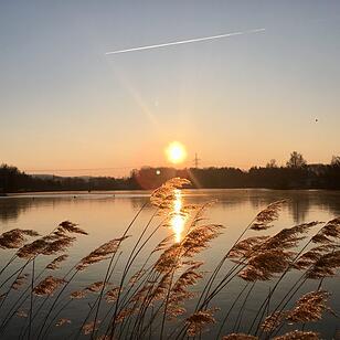 Die schönsten Frühlingsfotos aus den Haßbergen