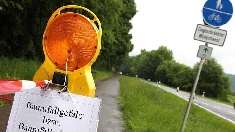 Der Rad- und Gehweg bei Roßstadt musste wegen der Gefahr umstürzender Bäume gesperrt werden. Auch Teile der Bundesstraße waren betroffen.