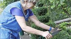 Lilian Schnabel (66) schneidet ihre Buchsbäume zu Tierfiguren.