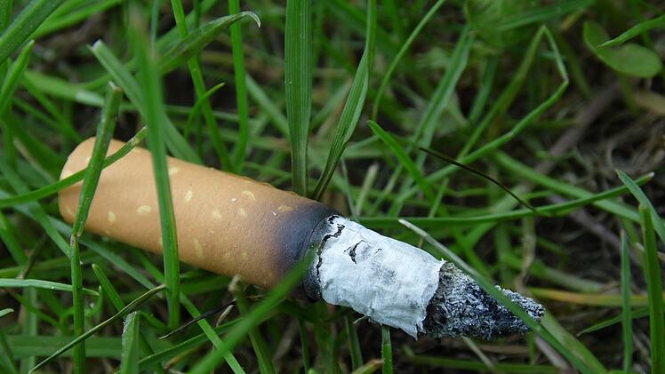 Ein Bild, das man leider viel zu häufig in der Natur oder auf der Straße sieht: Achtlos weggeworfene Zigarettenstummel.