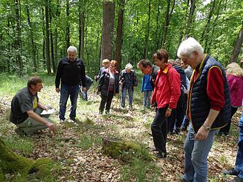 Dietmar Will und Walter Martin (von links) führten am Ebelsberg zu mehreren Stellen mit verschiedenen Orchideenarten. Fotos: Roland Mayer