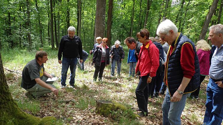 Dietmar Will und Walter Martin (von links) führten am Ebelsberg zu mehreren Stellen mit verschiedenen Orchideenarten. Fotos: Roland Mayer