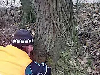 Vor allem Birken weisen im Friedhof in Eltingshausen massive Schäden auf. Aus Gründen der Sicherheit müssen sie gefällt werden. Fotos: Stefan Geiger