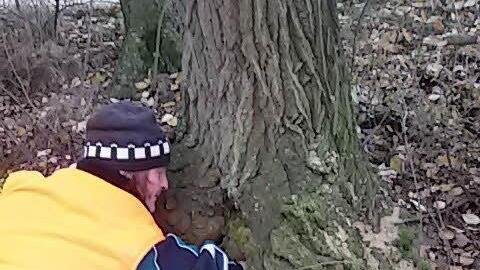 Vor allem Birken weisen im Friedhof in Eltingshausen massive Schäden auf. Aus Gründen der Sicherheit müssen sie gefällt werden. Fotos: Stefan Geiger