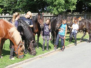 Pferdeferien in Steinbach - derzeit sind Ferienkinder aus ganz Deutschland zu Gast auf dem Ponyhof. Fotos: Sonja Adam