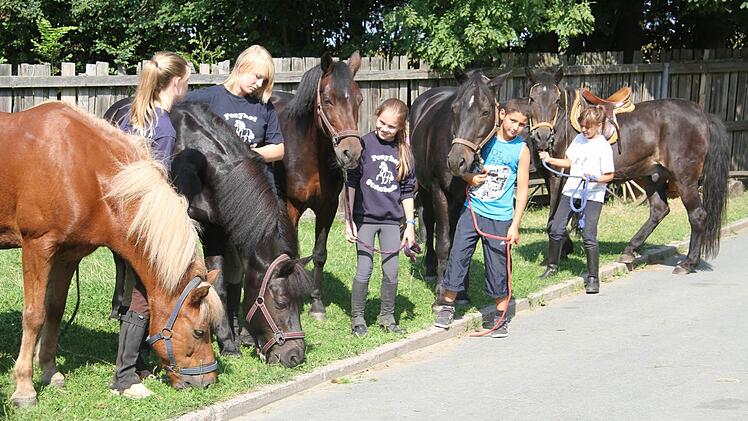 Pferdeferien in Steinbach - derzeit sind Ferienkinder aus ganz Deutschland zu Gast auf dem Ponyhof. Fotos: Sonja Adam