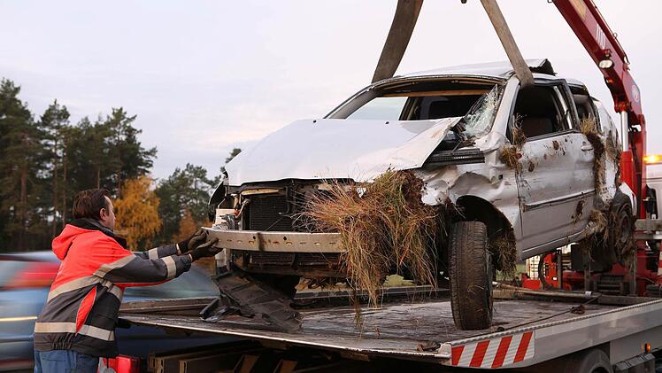 Foto: News5 / Herse