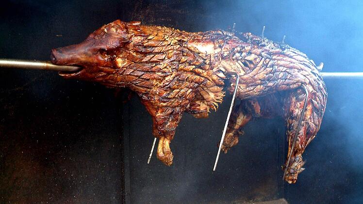 Sieht lecker aus und schmeckt auch so - das Limbacher-Flößerfest-Schmankerl "Sau am Spieß".