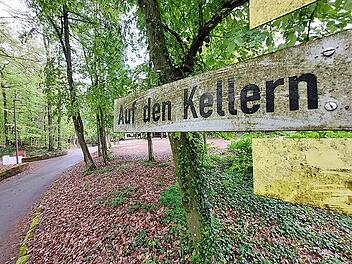 Wird der Forchheimer Kellerwald bald ein eigener Stadtteil?