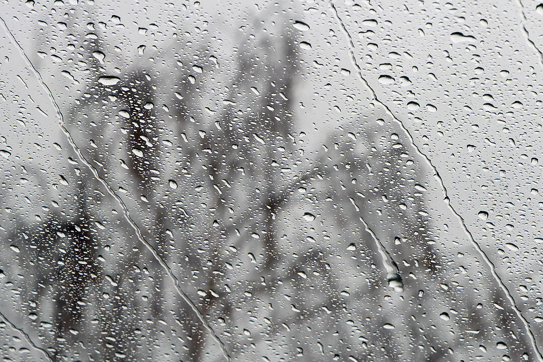 Fotos Konrad Thomann