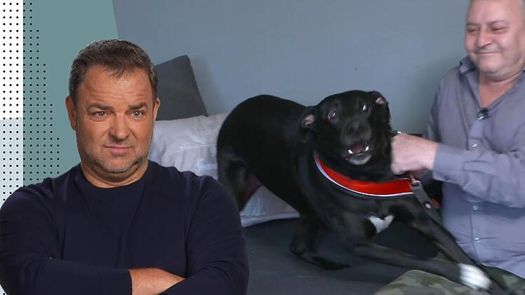Bei Labrador Socke ist einiges in der Erziehung falschgelaufen, wie Martin R&uuml;tter den Herrchen bescheinigt.