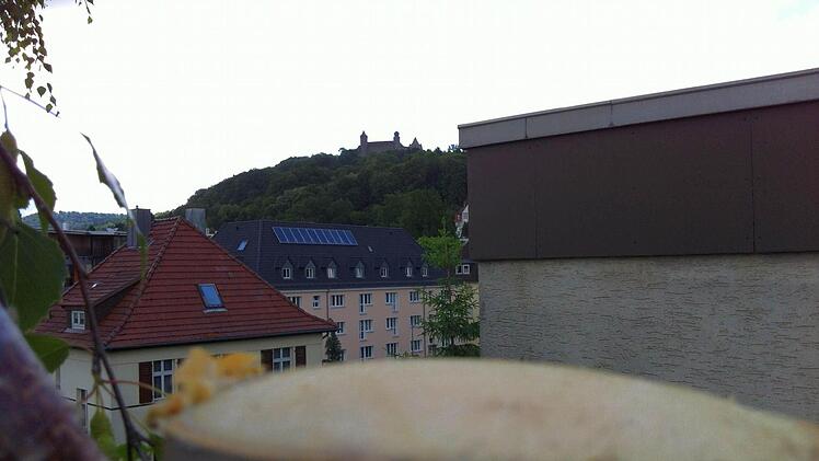 Das Wipfelfoto von Uwe Nawrath.