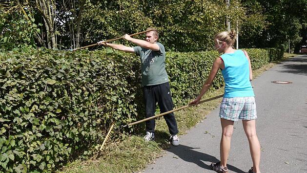 Wenn man wei&szlig;, auf was man achten muss, ist der Heckenschnitt keine allzu schwierige Angelegenheit. Archivfoto: Pauline Lindner