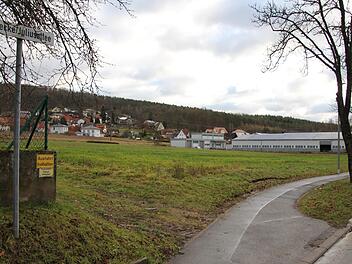 Auf dieser,  bislang brach liegenden Wiese (Bild links) siedelt sich  die Lang GmbH an.Fotos: Ralf Kestel