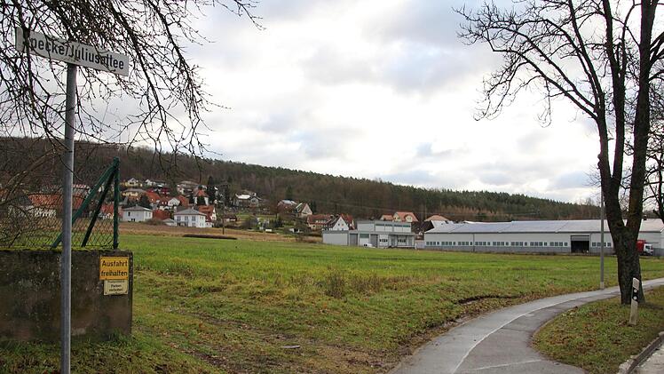 Auf dieser,  bislang brach liegenden Wiese (Bild links) siedelt sich  die Lang GmbH an.Fotos: Ralf Kestel