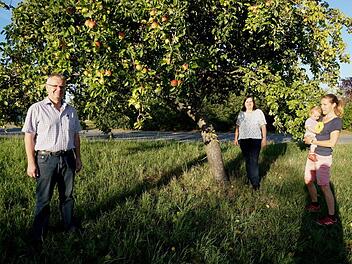 Wer seinen Baum nicht selbst abernten möchte, kann ihn mit einem gelben Band kennzeichnen und zur Ernte freigeben. Bürgermeisterin Sonja Reubelt (Mitte) kennzeichnete einen Baum gemeinsam mit 3. Bürgermeister Stefan Söder und der Ideengeberin Kathi Cavallo.  Foto: Marion Eckert