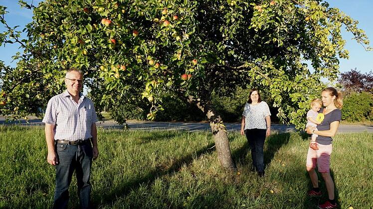 Wer seinen Baum nicht selbst abernten möchte, kann ihn mit einem gelben Band kennzeichnen und zur Ernte freigeben. Bürgermeisterin Sonja Reubelt (Mitte) kennzeichnete einen Baum gemeinsam mit 3. Bürgermeister Stefan Söder und der Ideengeberin Kathi Cavallo.  Foto: Marion Eckert