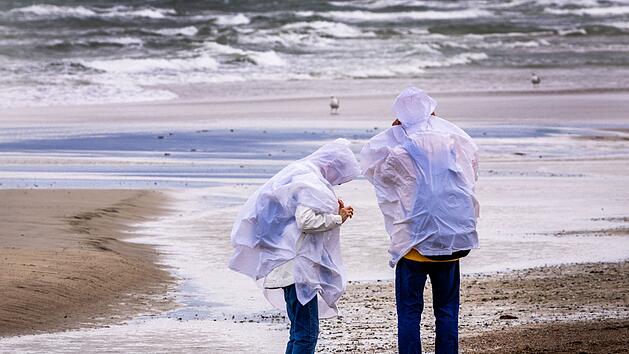 Herbststurm an der Küste