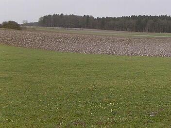 Die Landwirte sind aufgefordert, einen Teil ihrer Besitzes nicht zu bepflanzen.  Foto: Petra Malbrich