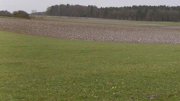 Die Landwirte sind aufgefordert, einen Teil ihrer Besitzes nicht zu bepflanzen.  Foto: Petra Malbrich
