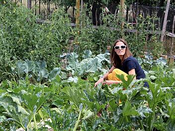 Petra Fischer erntet Buschbohnen für den Verkauf.  Fotos: Richard Sänger