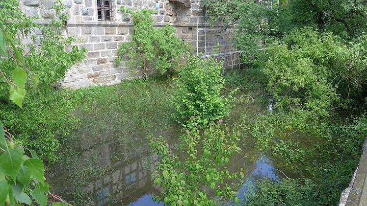 Seinem Namen "Wasserschloss" wurde das bei einem Brand 2009 weitgehend zerstörte Schloss in Ebelsbach in den vergangenen Tagen gerecht. Der Ebelsbach ist kräftig gestiegen. Fotos: Sabine Meißner (2)