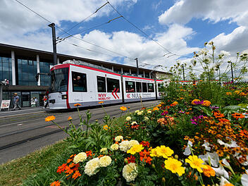 Straßenbahn Würzburg