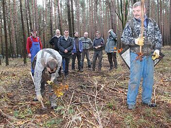 Buche statt Kiefer: Waldarbeiter pflanzen die Buchenwildlinge ein. Zuvor wurde der Wald ausgelichtet und beste Ausgangsbedingungen für den Pflanzenwuchs geschaffen.  Foto: Mathias Erlwein