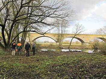 Durch die Entholzung und Abgrabungen unterhalb der Achterbrücke soll bei Hochwasser ein Rückstau verhindert werden.  Foto: Stadt Hallstadt