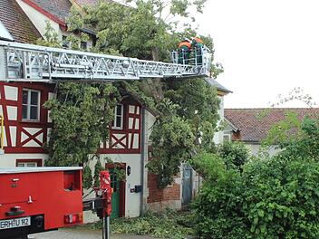 In Zentbechhofen musste die Feuerwehr einen gegen ein Haus gestürzten Baum beseitigen.  Foto: Karina Brock