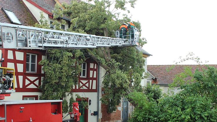 In Zentbechhofen musste die Feuerwehr einen gegen ein Haus gestürzten Baum beseitigen.  Foto: Karina Brock