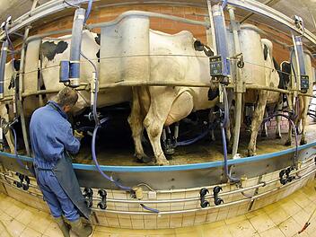 Foto: Peter Steffen/dpa
