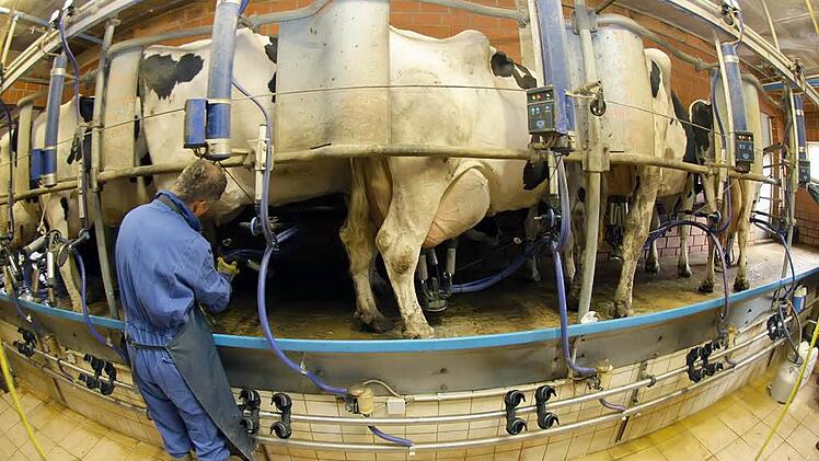 Foto: Peter Steffen/dpa