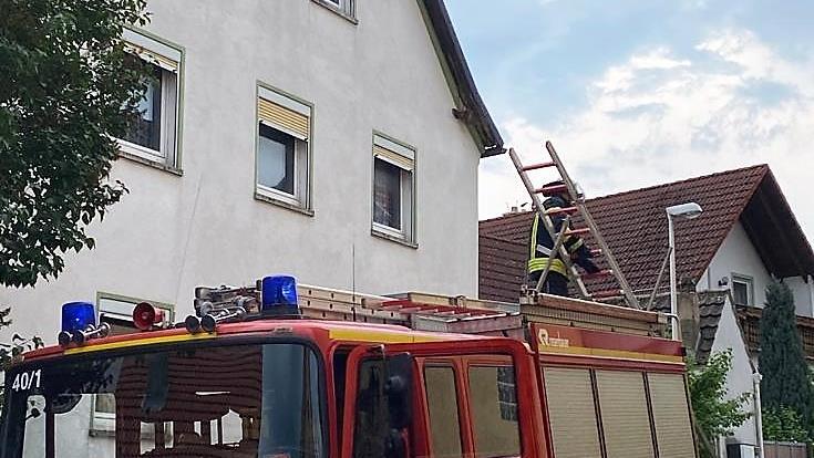 Die Feuerwehr war vor Ort, um das Tier zu befreien. Foto: Wolfgang Krawczyk