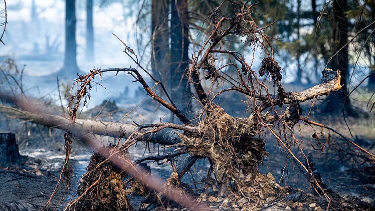 Waldbrand in Thüringen
