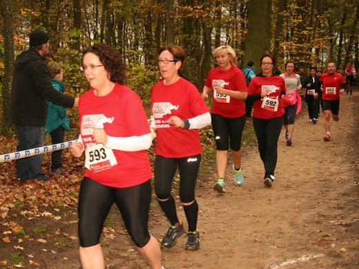 Lebkuchenlauf der TG Kitzingen