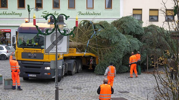 Alljährliches Schauspiel: die Aufstellung des Neustadter Weihnachtsbaumes. Fast 18 Meter hoch ist die aus Haarbrücken stammende Edel-Tanne, die seit Donnerstag auf dem Markt steht.Foto: Berthold Köhler
