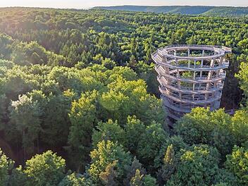 In die Höhen des Steigerwaldes kann man auf dem Baumwipfelpfad bei Ebrach emporsteigen.