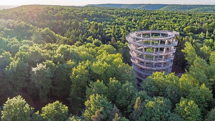 In die Höhen des Steigerwaldes kann man auf dem Baumwipfelpfad bei Ebrach emporsteigen.