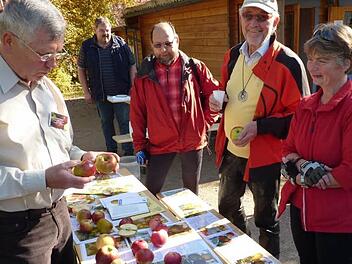 Der ehemalige Kreisvorsitzende Ernst Knobloch steht am Sonntag für die Sortenbestimmung der Äpfel gerne zur Verfügung. Foto:Gerd Fleischmann